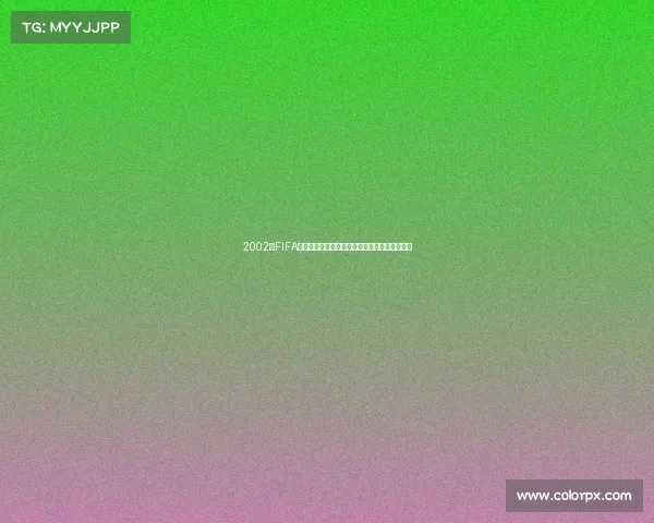 2002年FIFA世界杯韩日赛场经典回顾与历史瞬间全景解析录